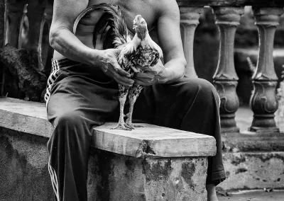 Mann sitzt auf Steinbank und hält einen Hahn in den Händen Schwarz-Weiß