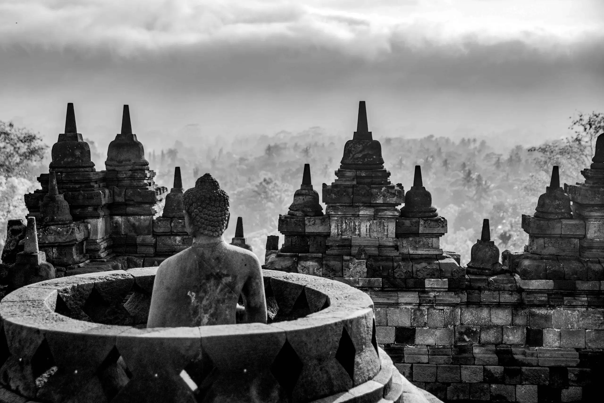 Phototree_Patrick_Kunkel_Fotograf-Bodensee_Lindau_St_Gallen_Schweiz_7019