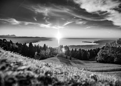 Sonnenuntergang über dem Bodensee mit Hügeln und Bäumen Schwarz-Weiß