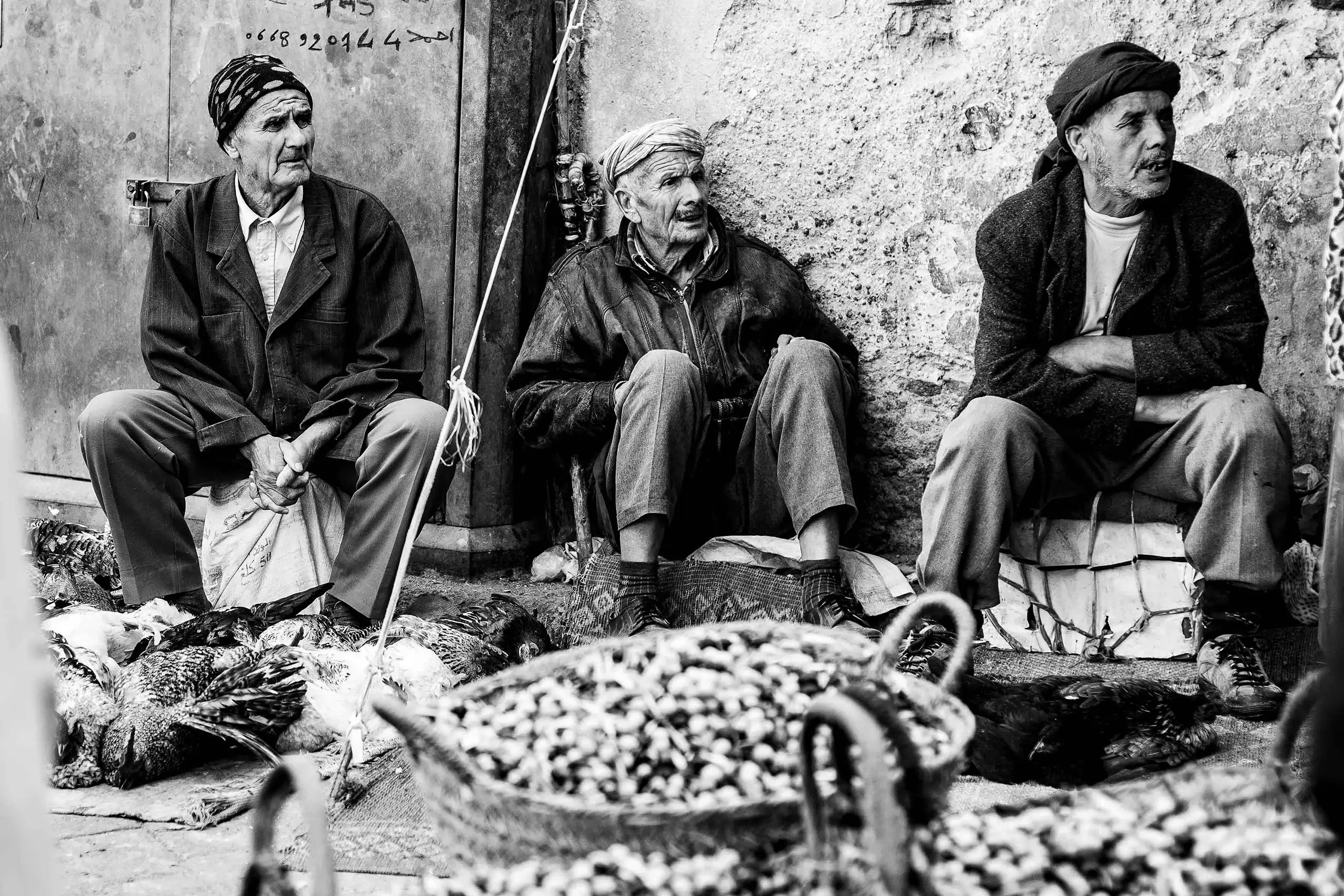 Phototree_Patrick_Kunkel_Fotograf-Bodensee_Lindau_St_Gallen_Schweiz_7041
