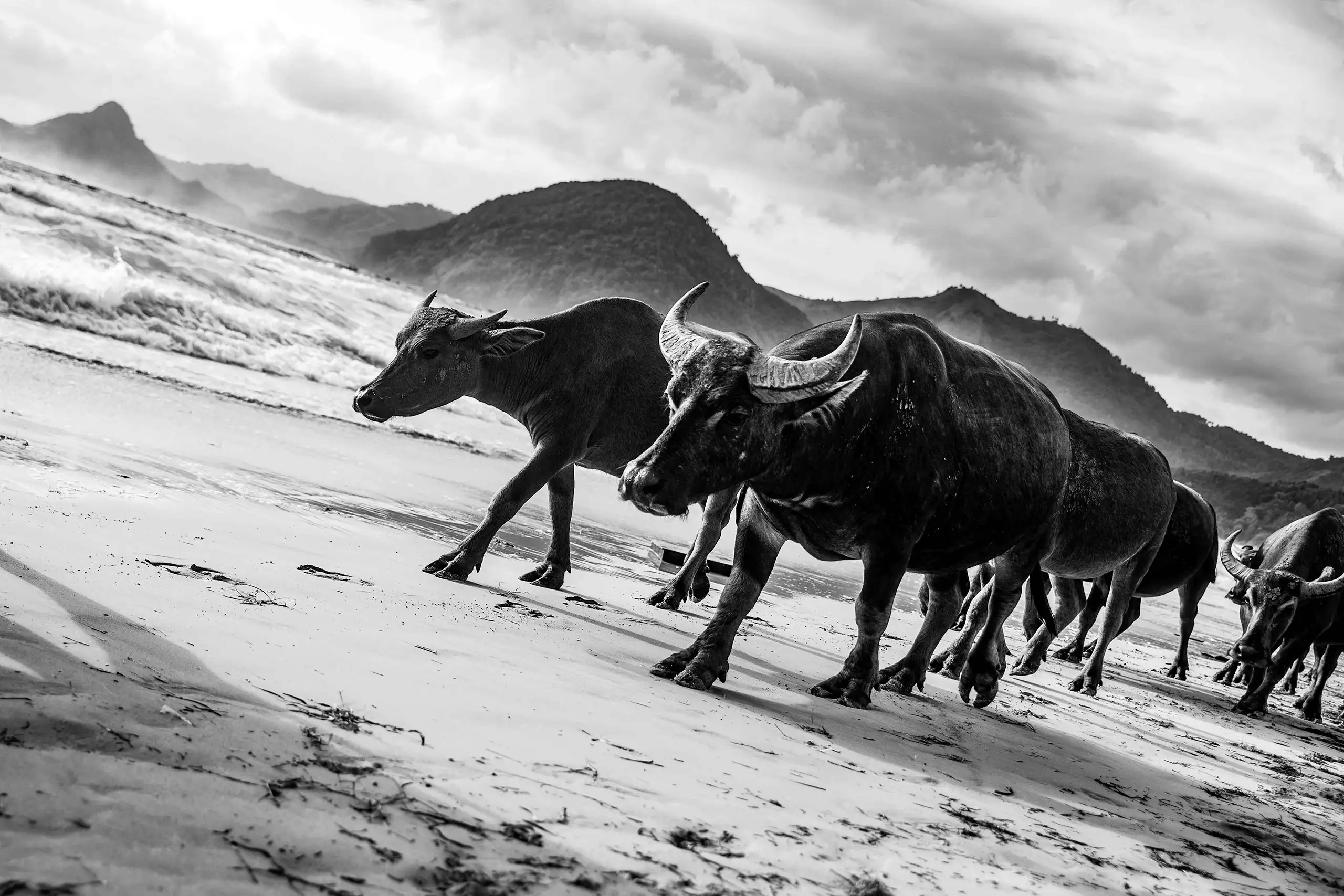 Phototree_Patrick_Kunkel_Fotograf-Bodensee_Lindau_St_Gallen_Schweiz_7044