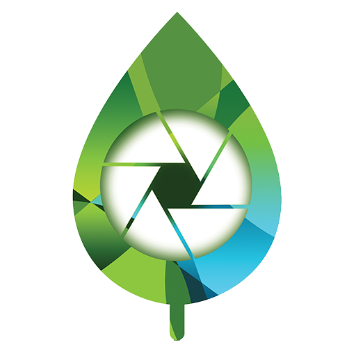 Phototree – Dein Fotograf für unvergessliche Momente am Bodensee